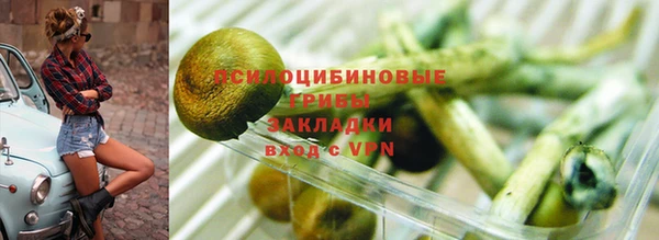 ПСИЛОЦИБИНОВЫЕ ГРИБЫ Вязьма