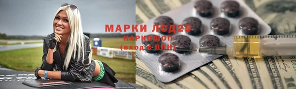 ПСИЛОЦИБИНОВЫЕ ГРИБЫ Вязьма