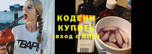 ПСИЛОЦИБИНОВЫЕ ГРИБЫ Вязьма