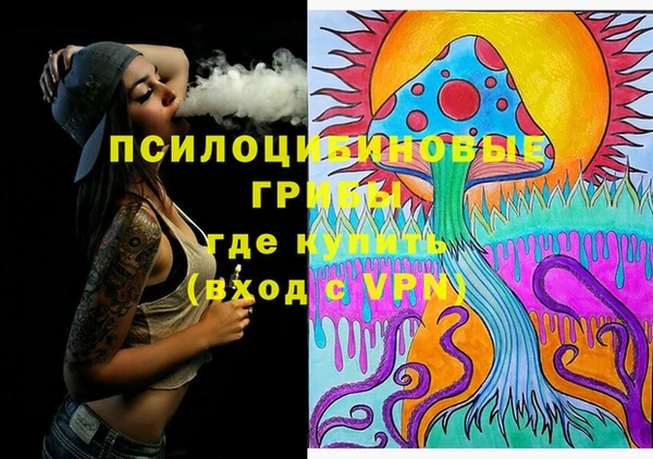 молекула духа Вязники