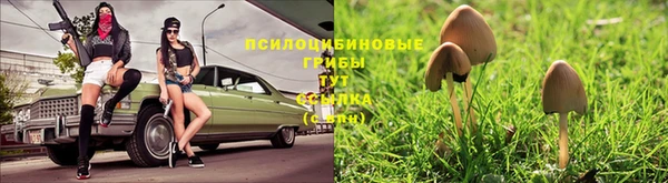 кокаин колумбия Вяземский
