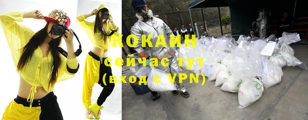 ПСИЛОЦИБИНОВЫЕ ГРИБЫ Вязьма