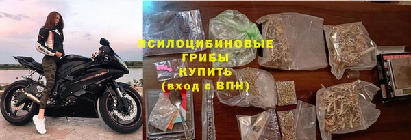 ПСИЛОЦИБИНОВЫЕ ГРИБЫ Вязьма