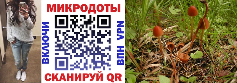 Псилоцибиновые грибы GOLDEN TEACHER  магазин продажи   Кушва 
